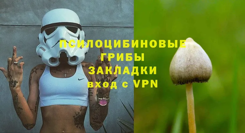 Галлюциногенные грибы MAGIC MUSHROOMS Петровск